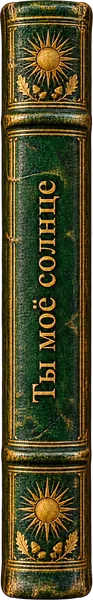 Ты моё солнце